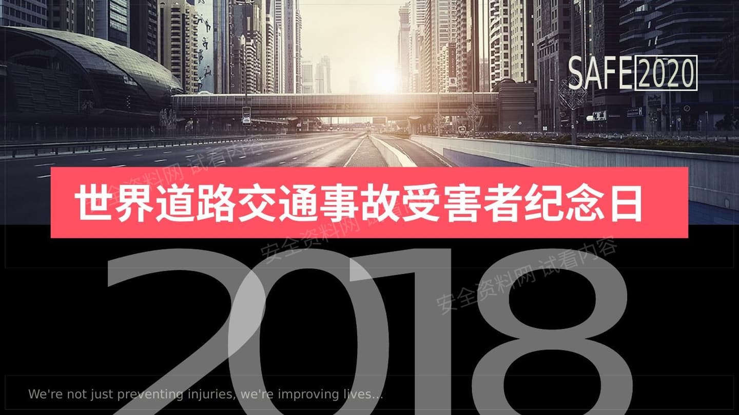 世界道路交通事故受害者纪念日