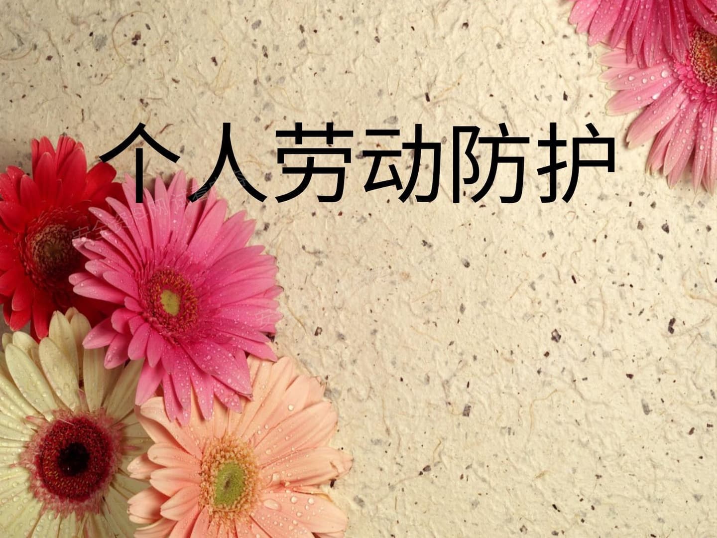 个人劳动防护课件