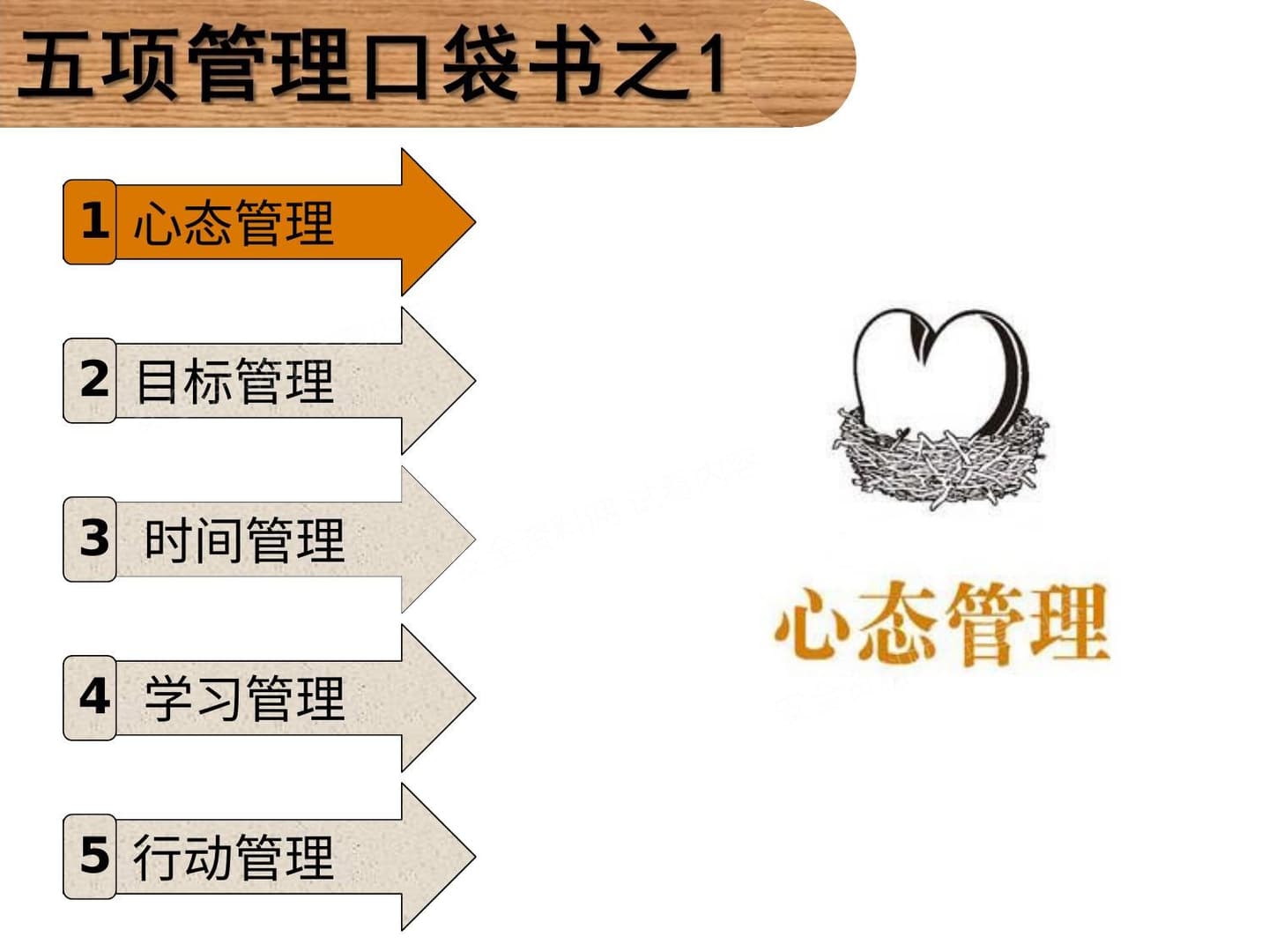 五项管理口袋书 全集