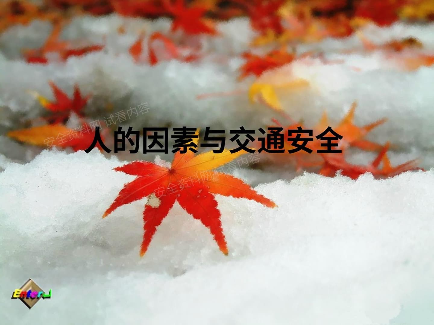 人的因素与交通安全的影响