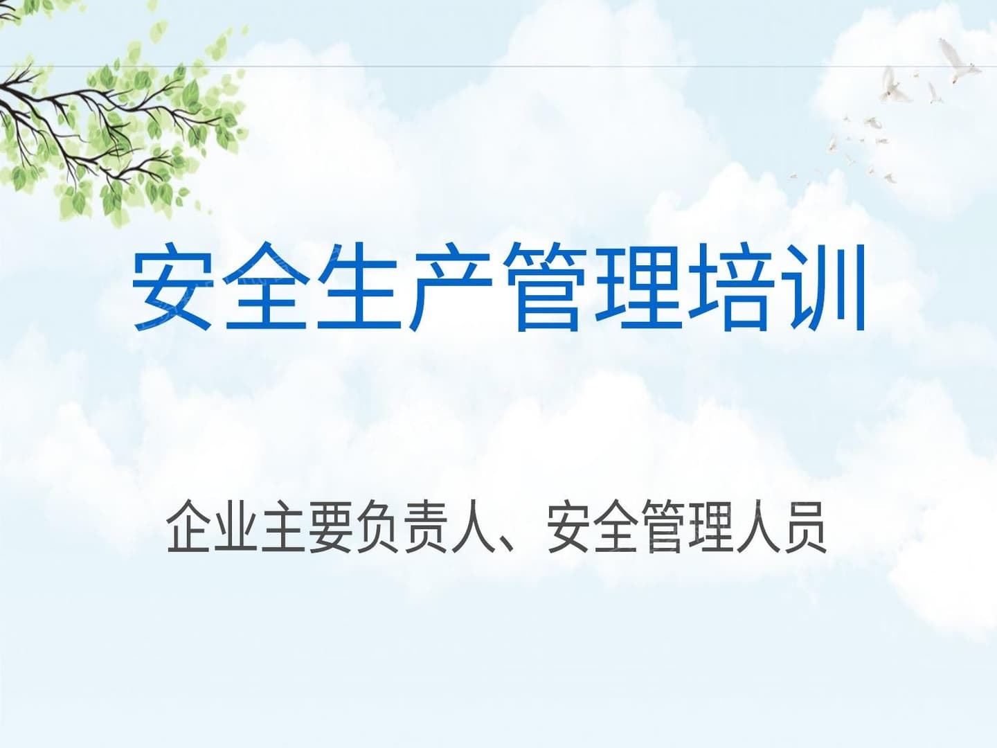 企业主要负责人及安全管理人员安全培训