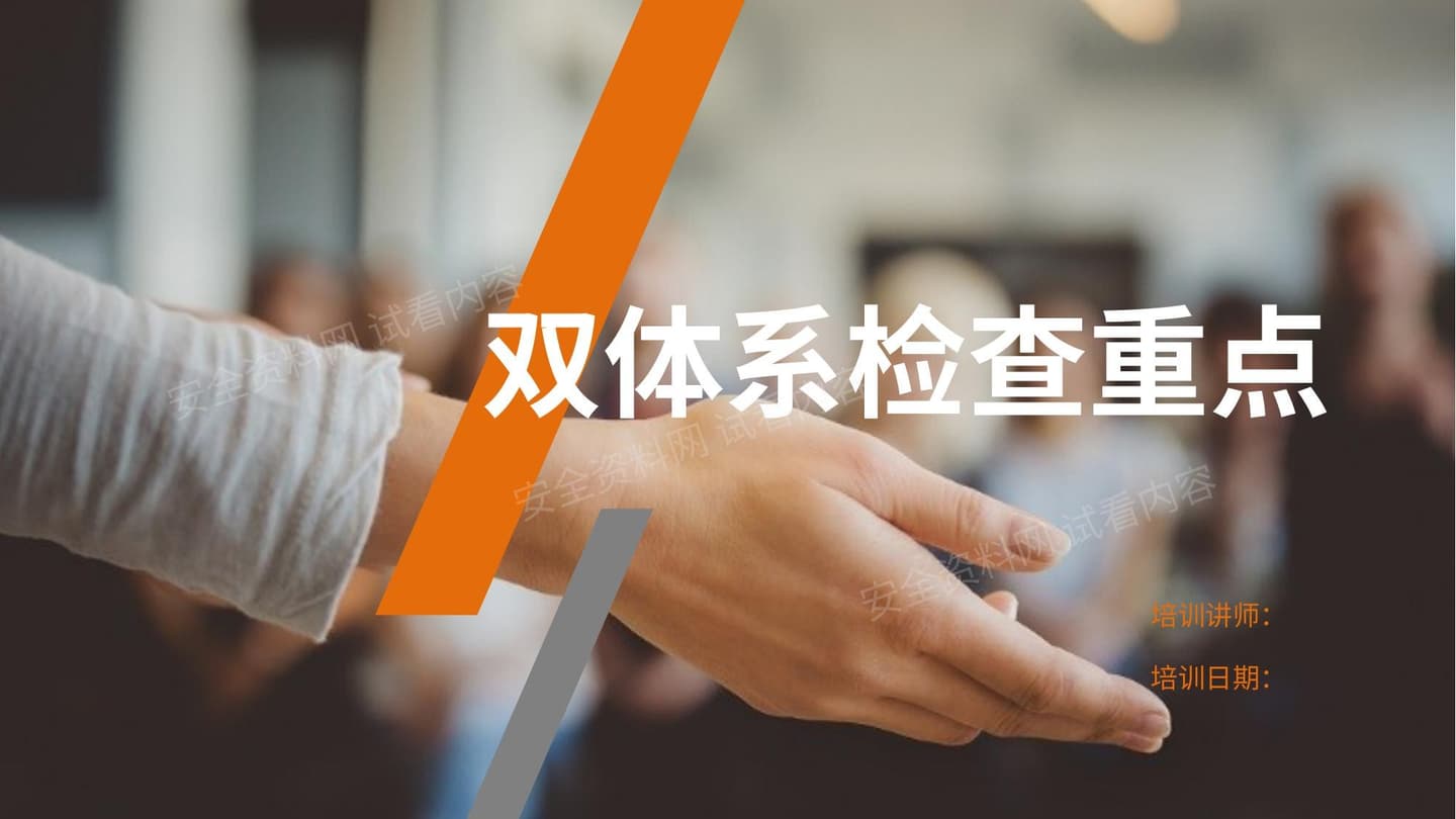 双体系检查重点