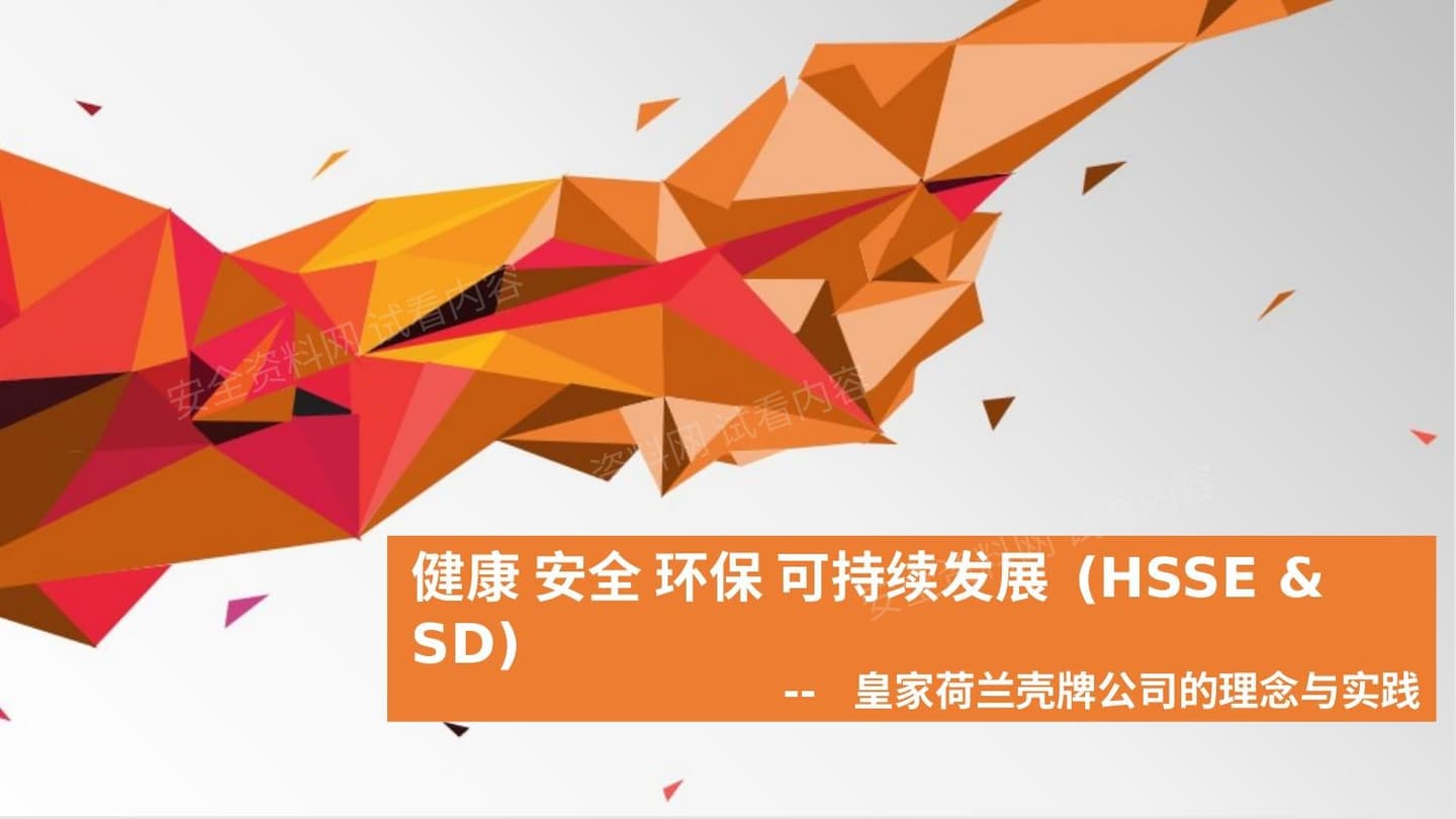 壳牌公司HSE管理体系的精华