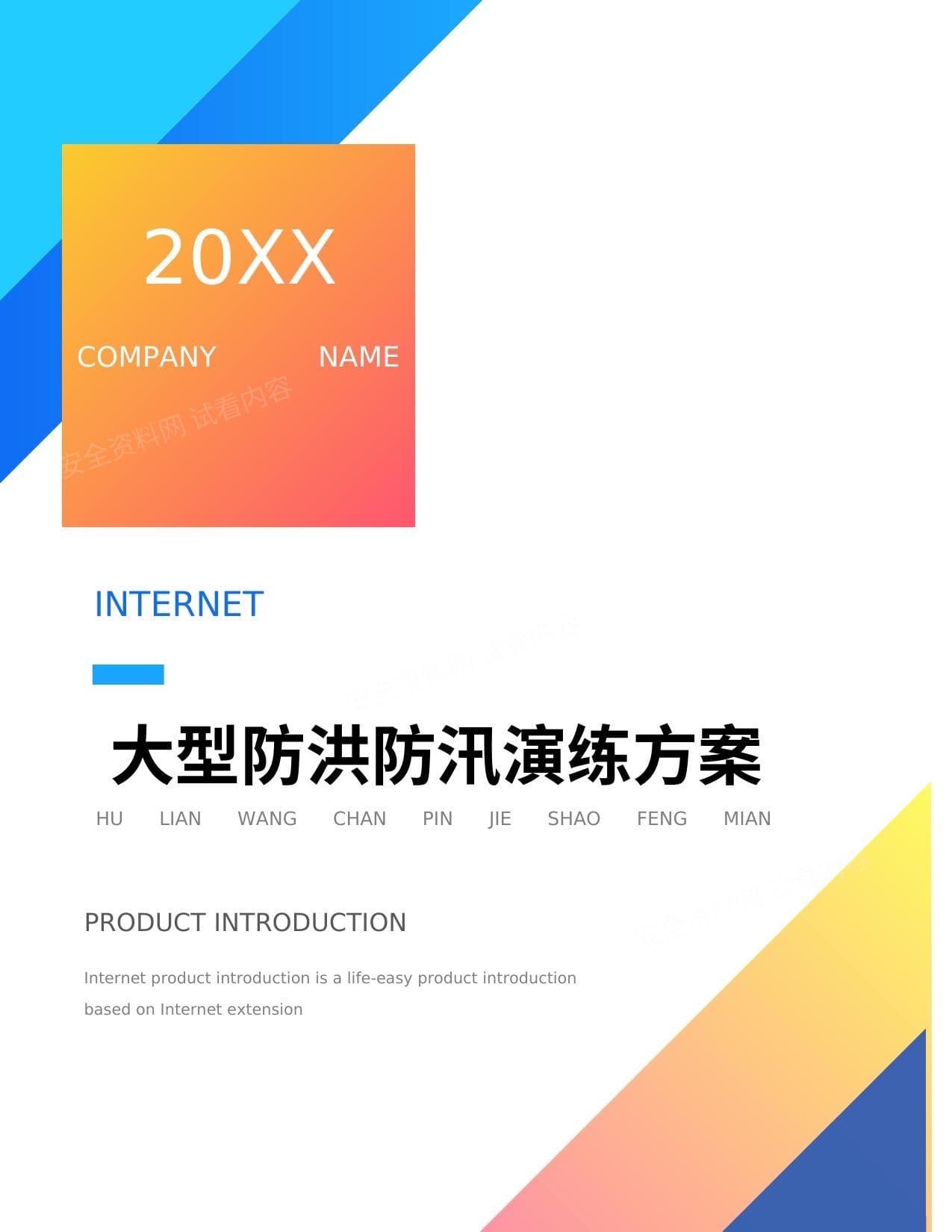 大型防洪防汛应急演练方案