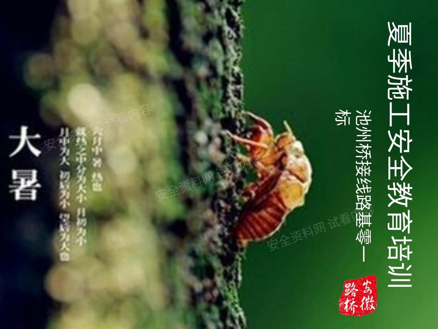 安徽夏季施工安全教育培训