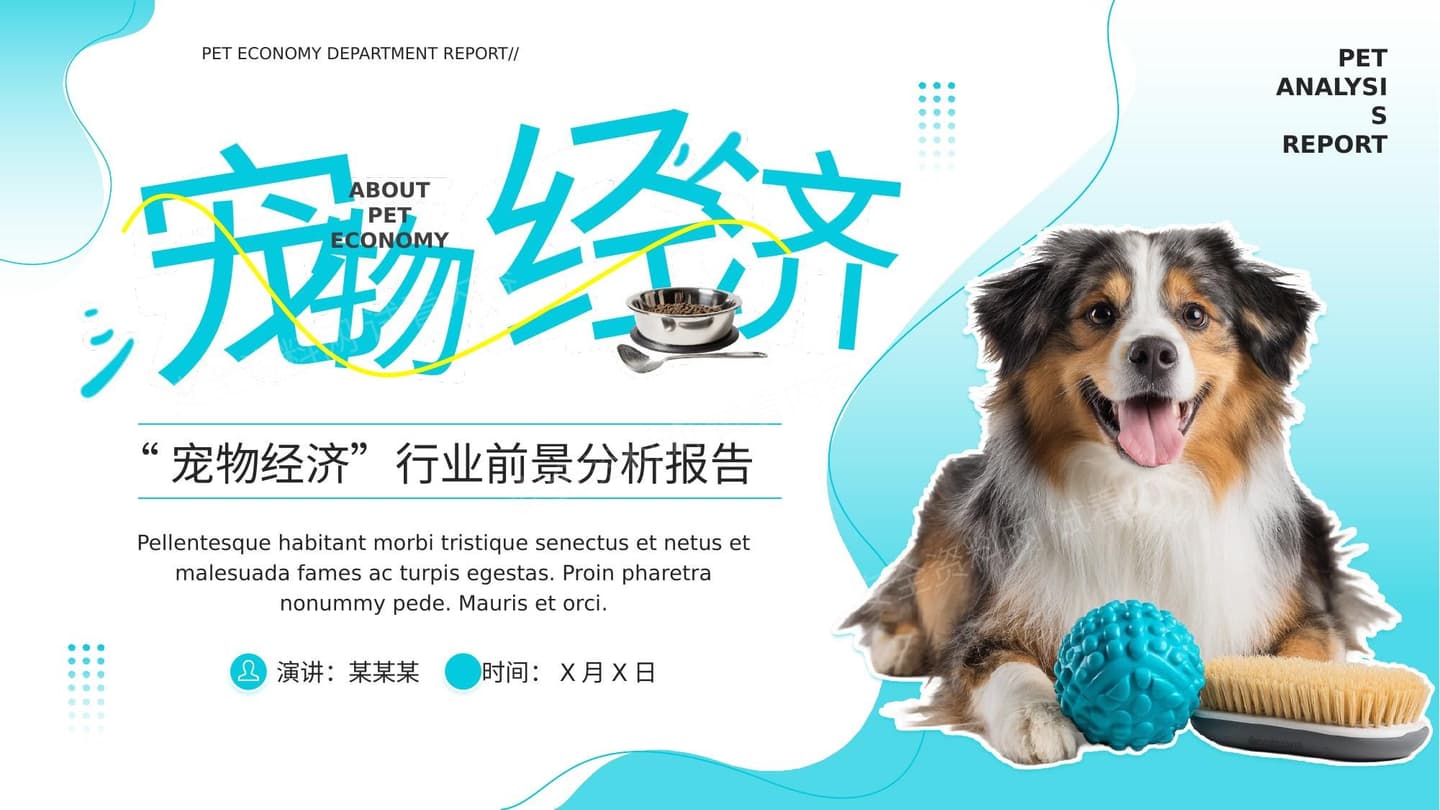 宠物经济分析报告