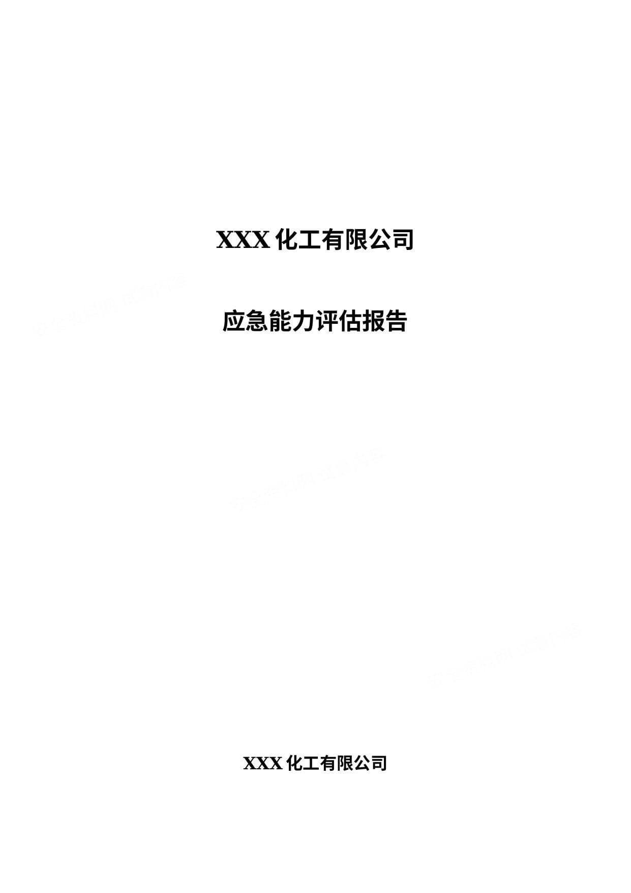 应急能力评估报告