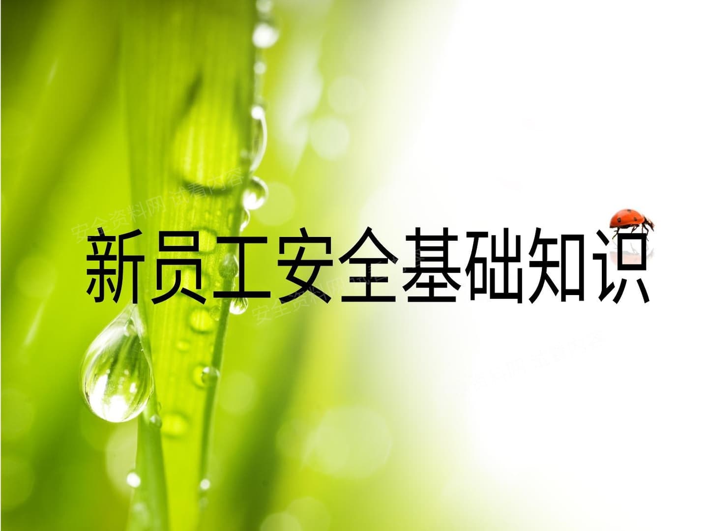 建筑施工企业新员工安全培训课件