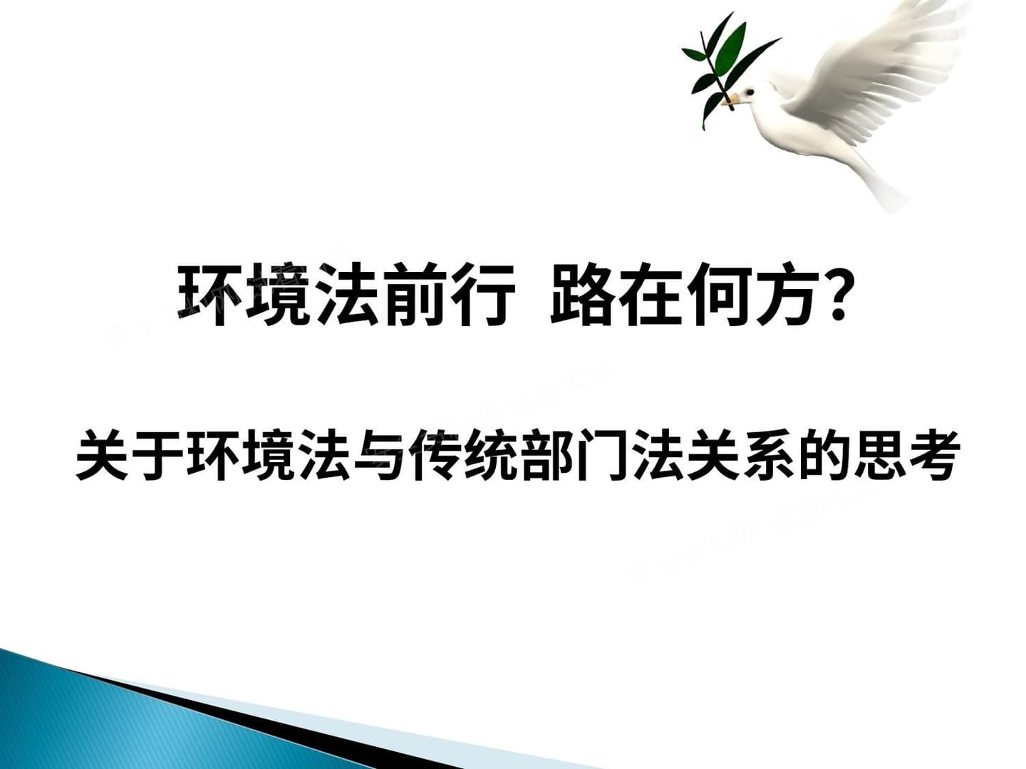 环境法前行