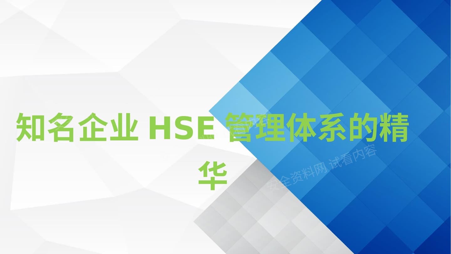 知名企业HSE管理体系的精华