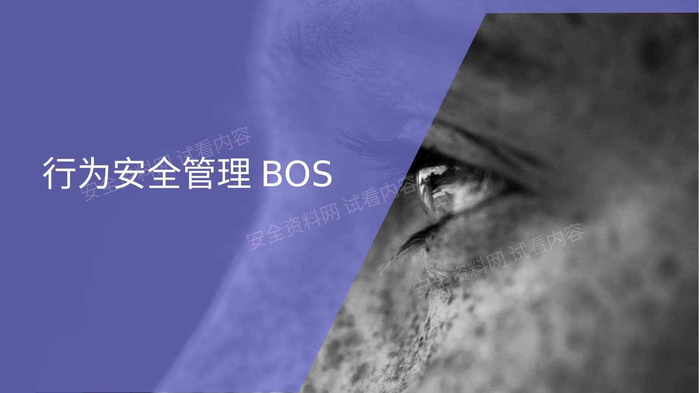 行为安全管理BOS