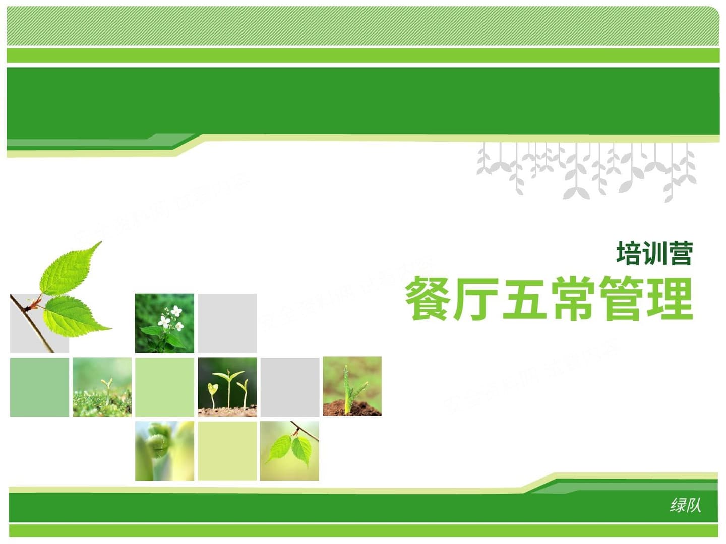 餐厅五常管理