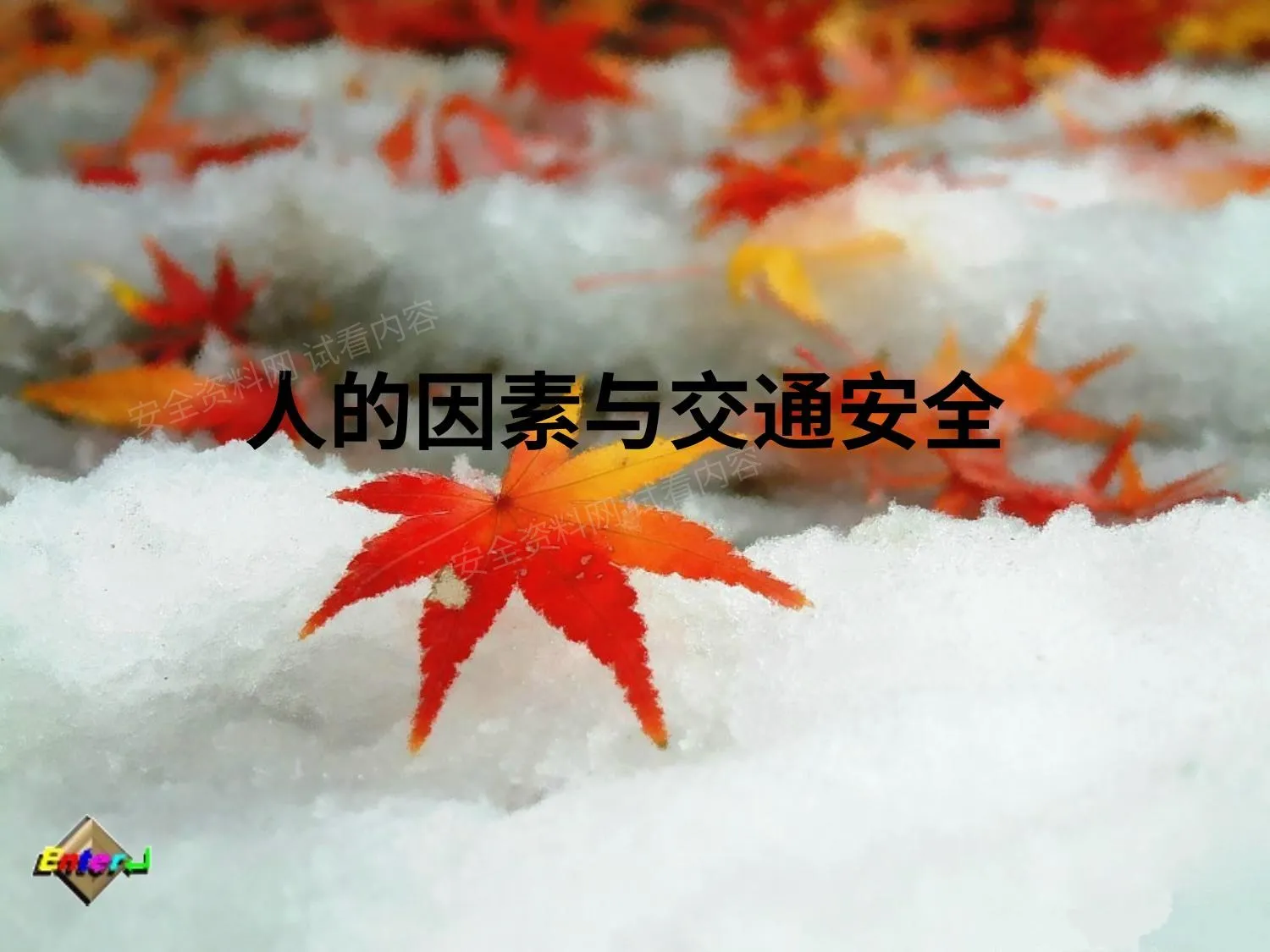 人的因素与交通安全的影响 第 1 页预览