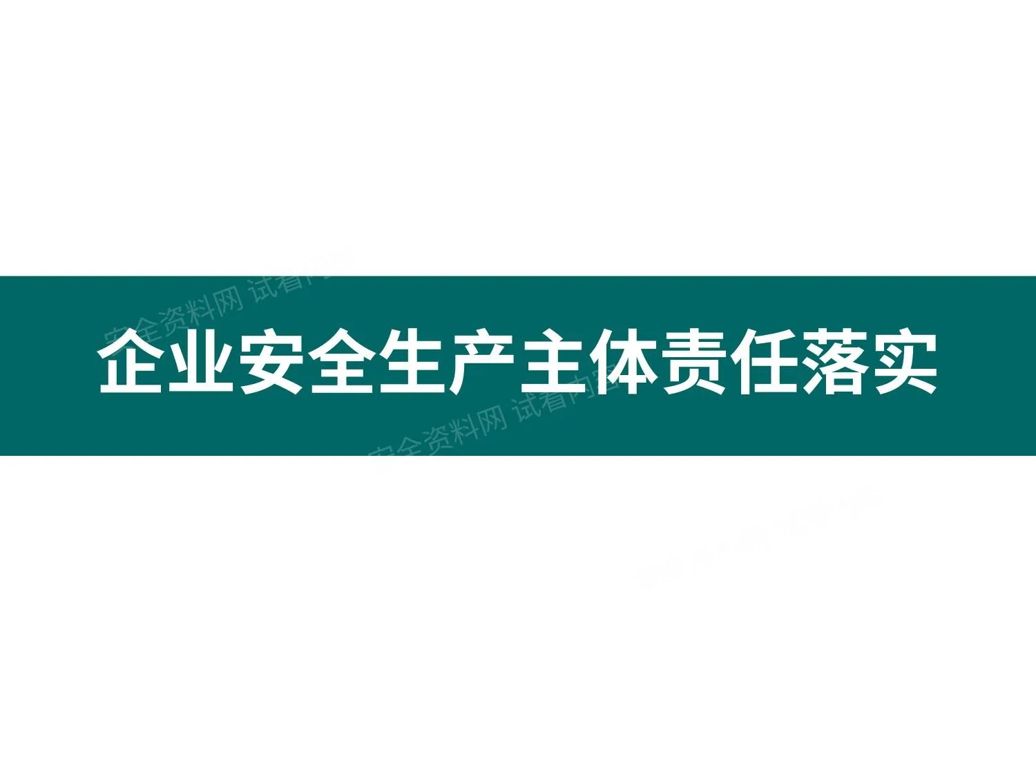 企业安全生产主体责任落实 第 1 页预览