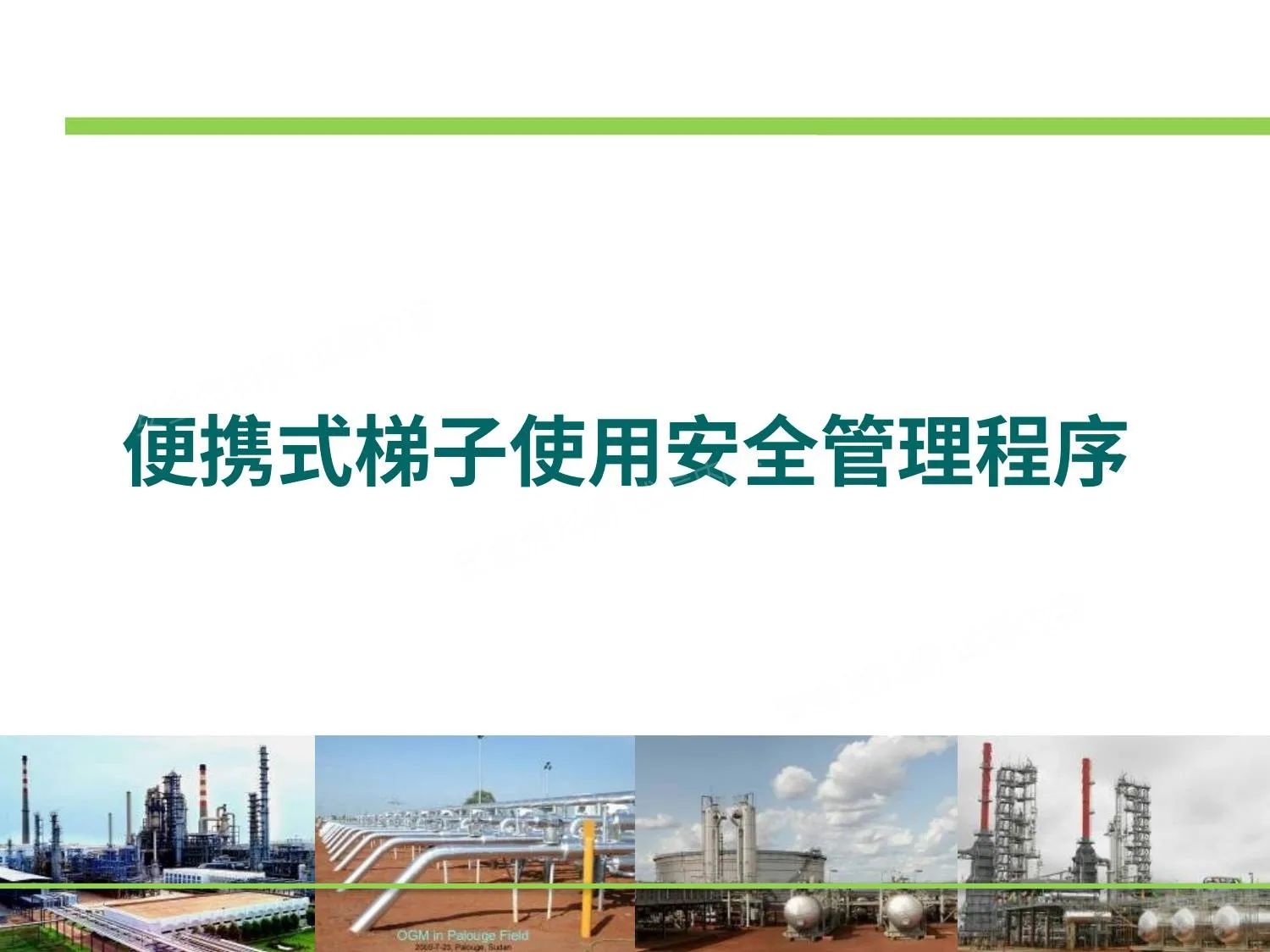 便携式梯子管理 第 1 页预览