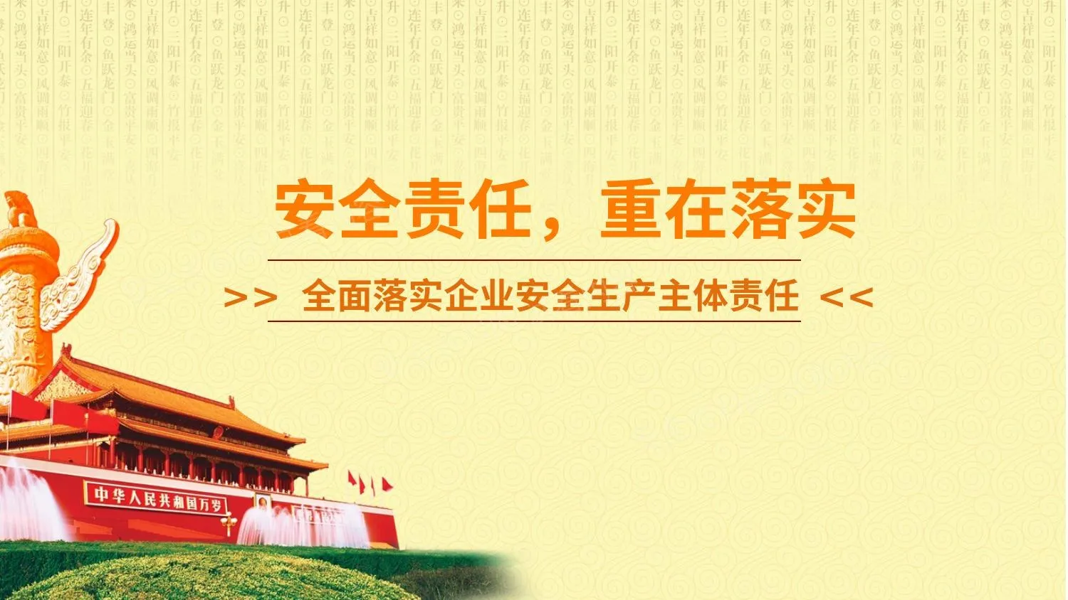 全面落实企业安全生产主体责任 第 1 页预览