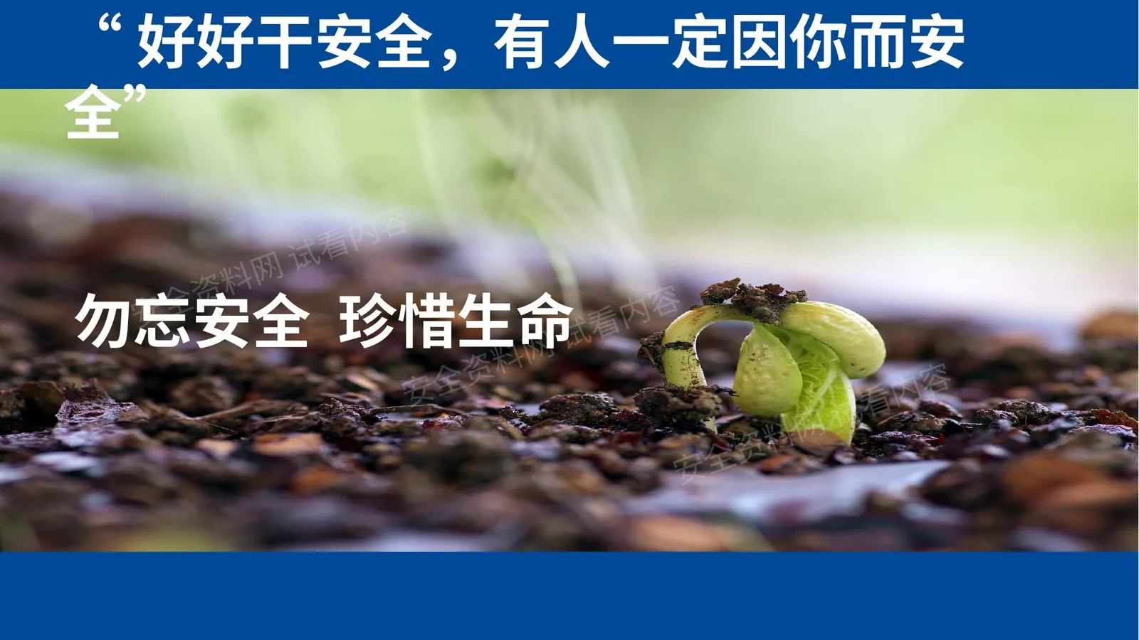 勿忘安全珍惜生命安全意识培训板 第 1 页预览