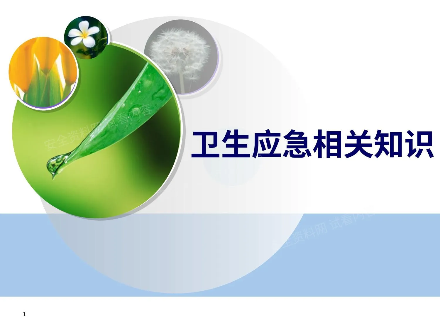 卫生应急相关知识 第 1 页预览