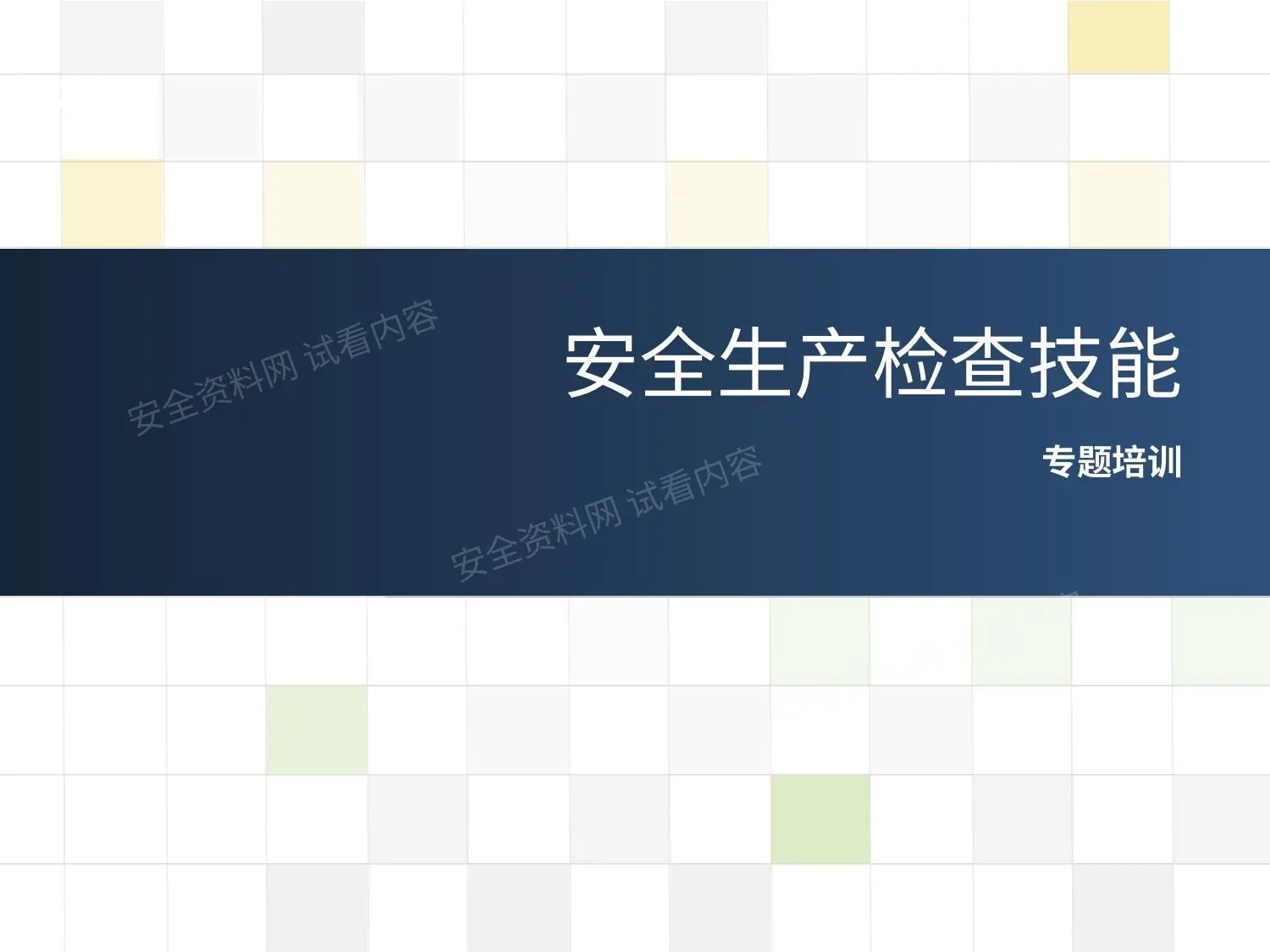 安全生产检查技能专项培训 第 1 页预览
