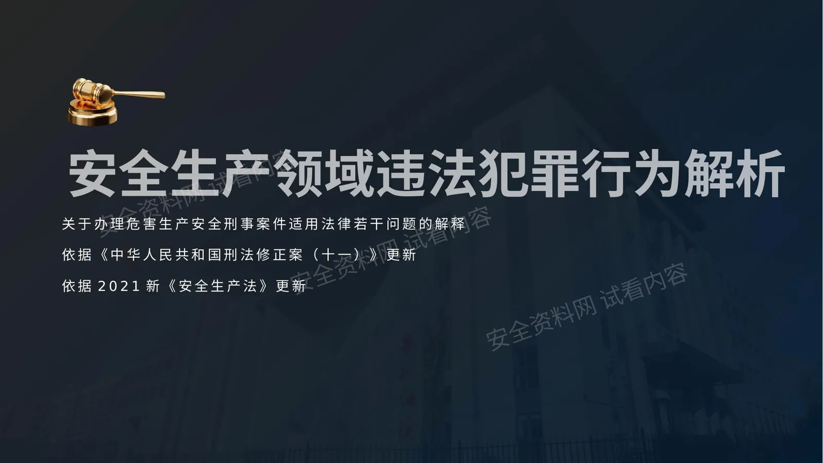 安全生产领域违法犯罪解析 第 1 页预览