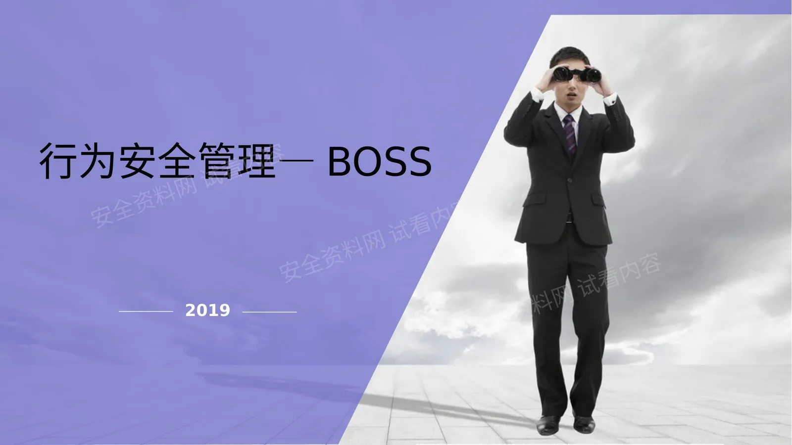 安全行为观察BOSS 第 1 页预览