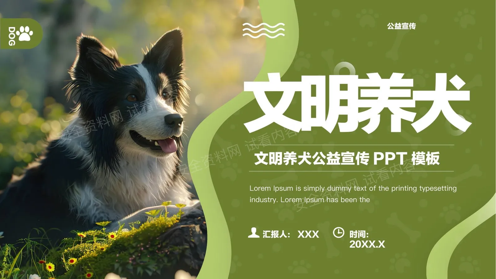 文明养犬公益宣传 第 1 页预览