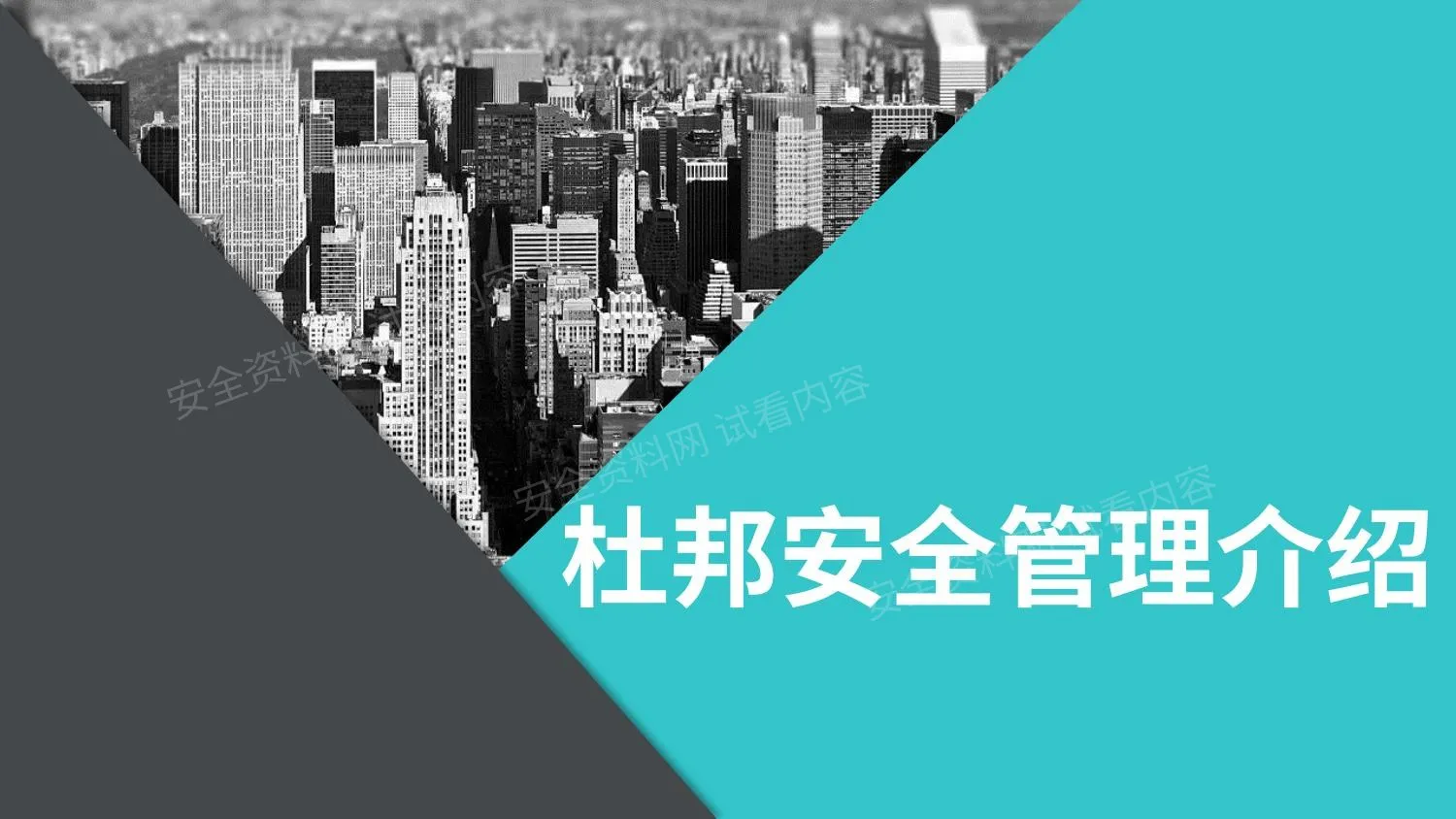杜邦安全管理介绍 第 1 页预览