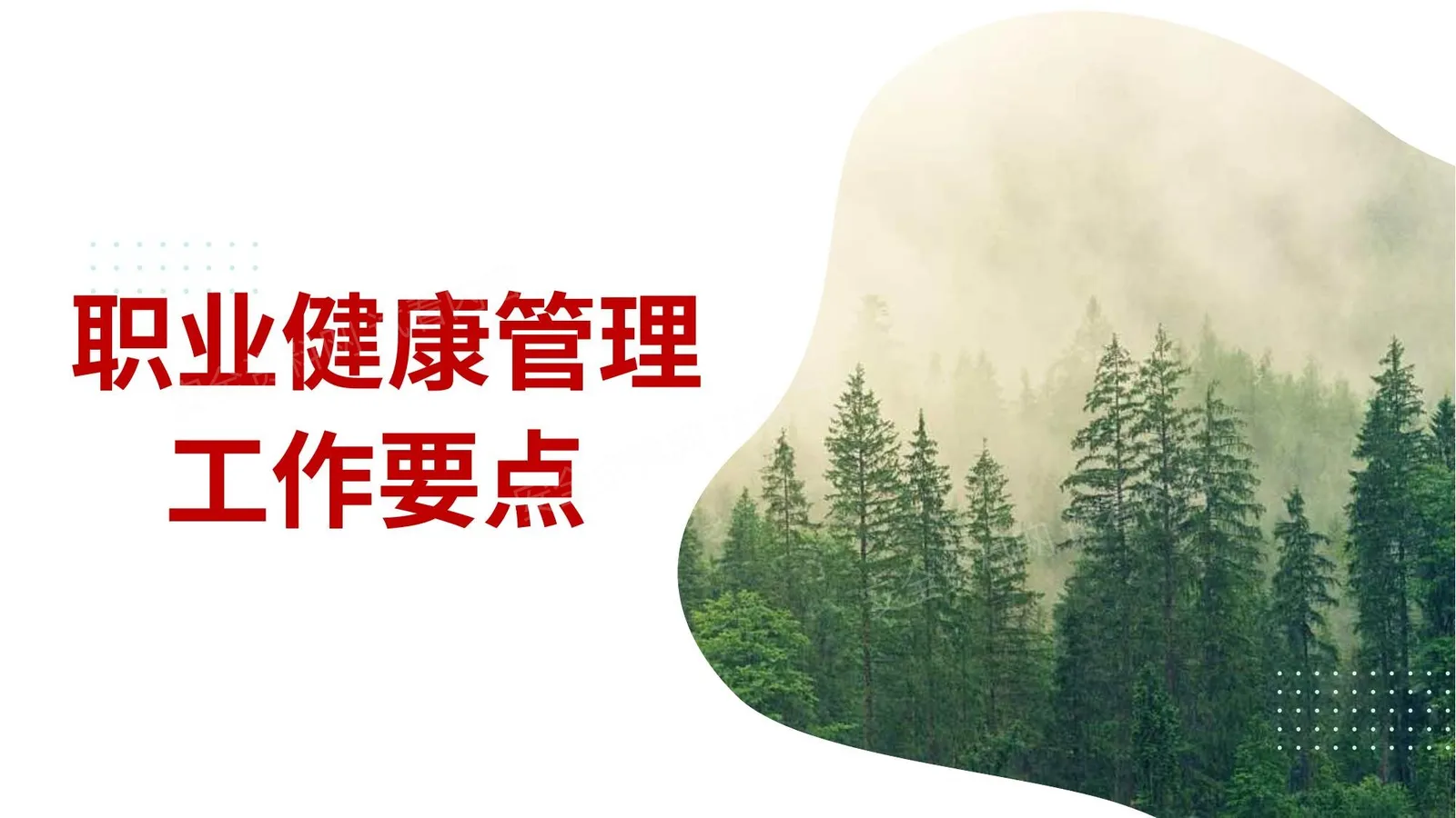 职业健康管理工作要点 第 1 页预览