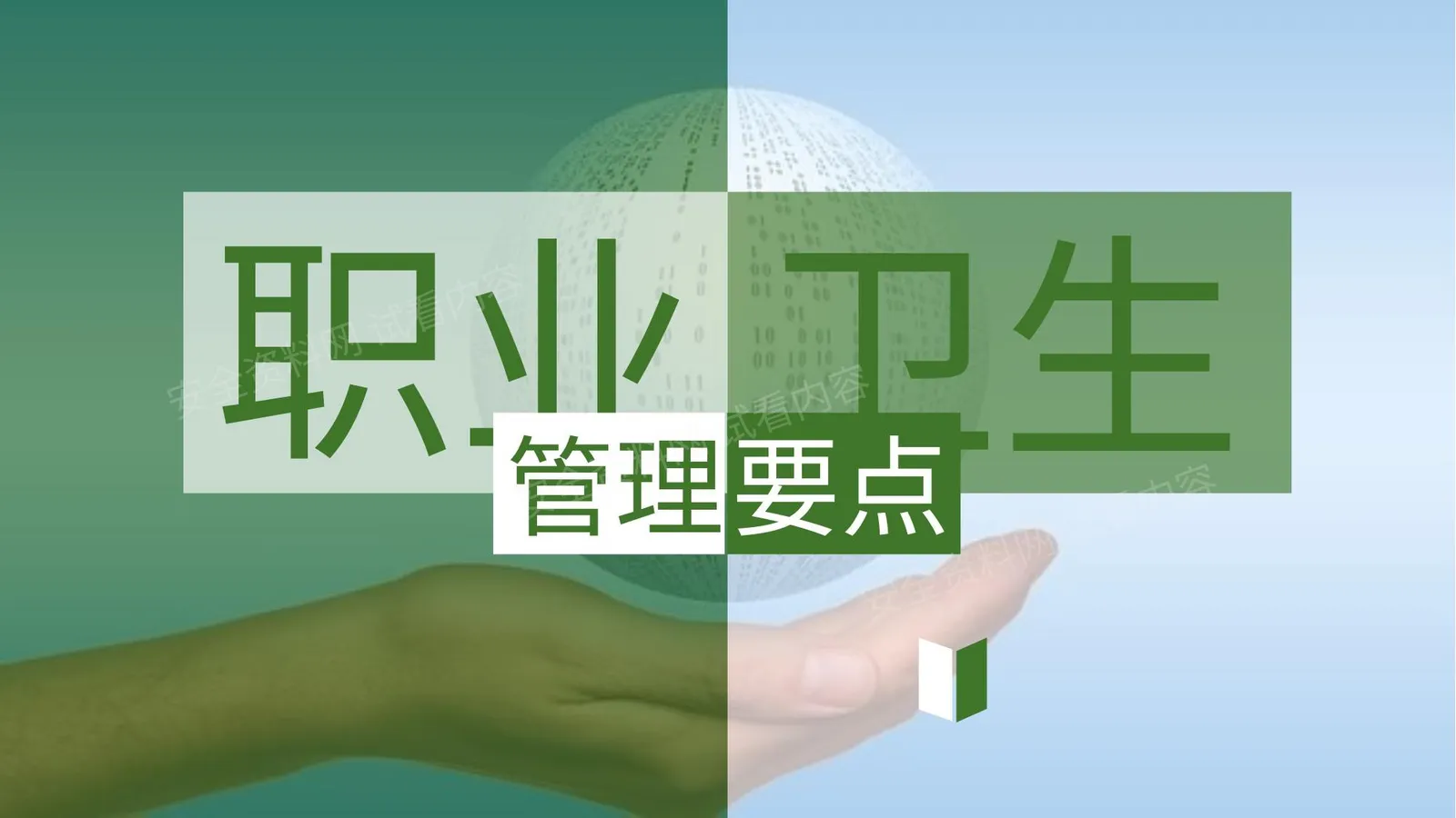 职业卫生管理要点 第 1 页预览