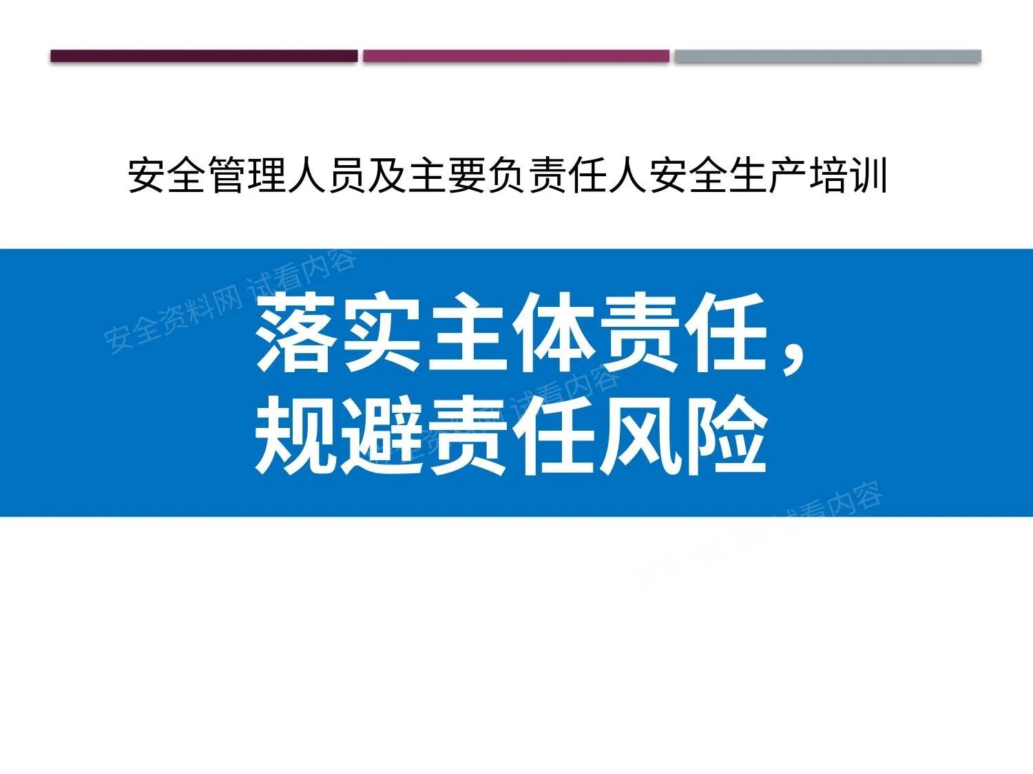 落实主体责任,主要负责人及安全管理人员培训 第 1 页预览