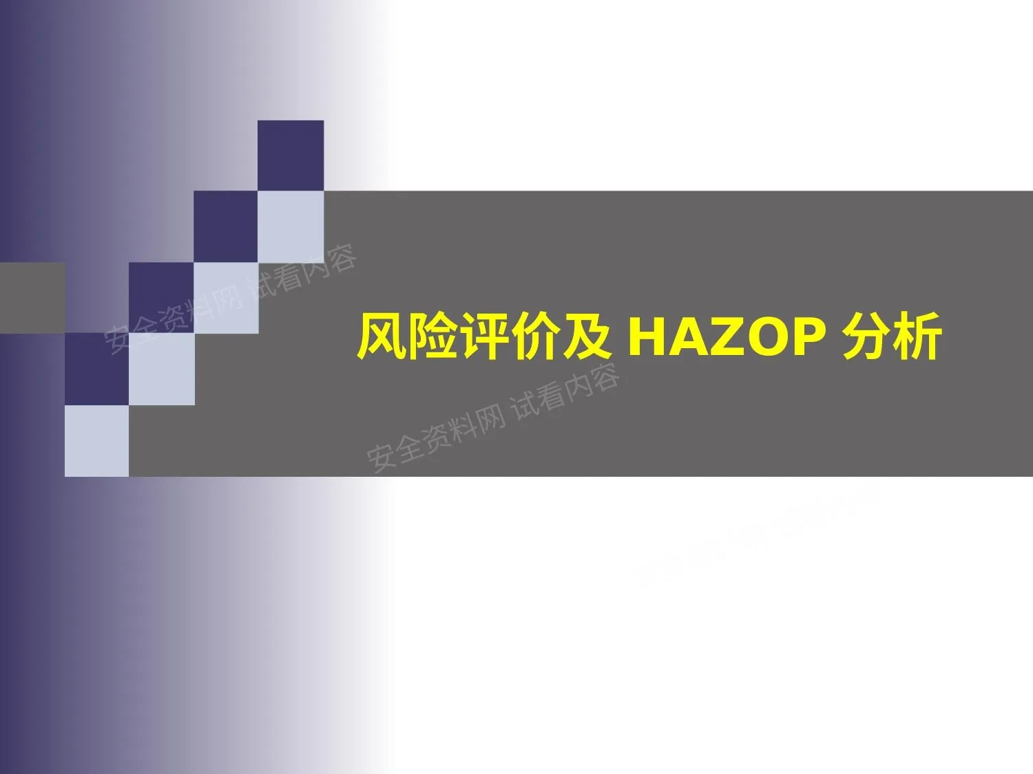 风险管理及Hazop分析 第 1 页预览