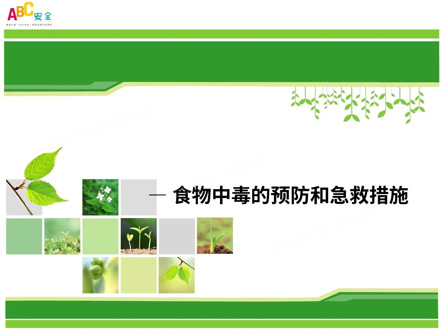 食物中毒应急救护知识 第 1 页预览