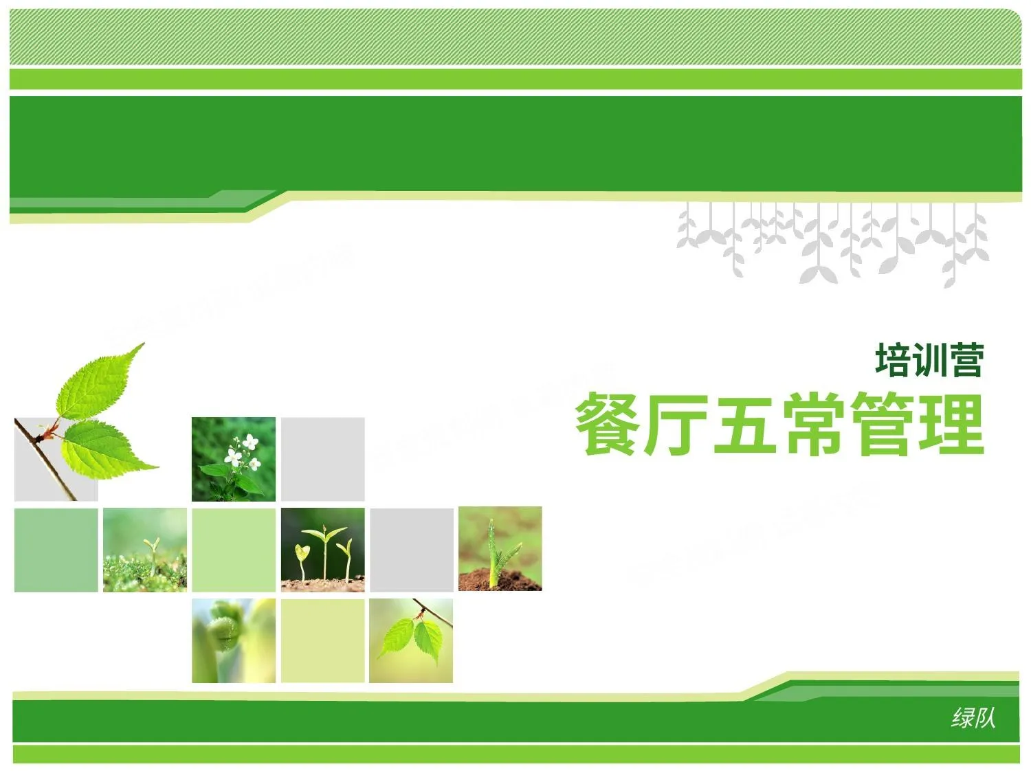 餐厅五常管理 第 1 页预览