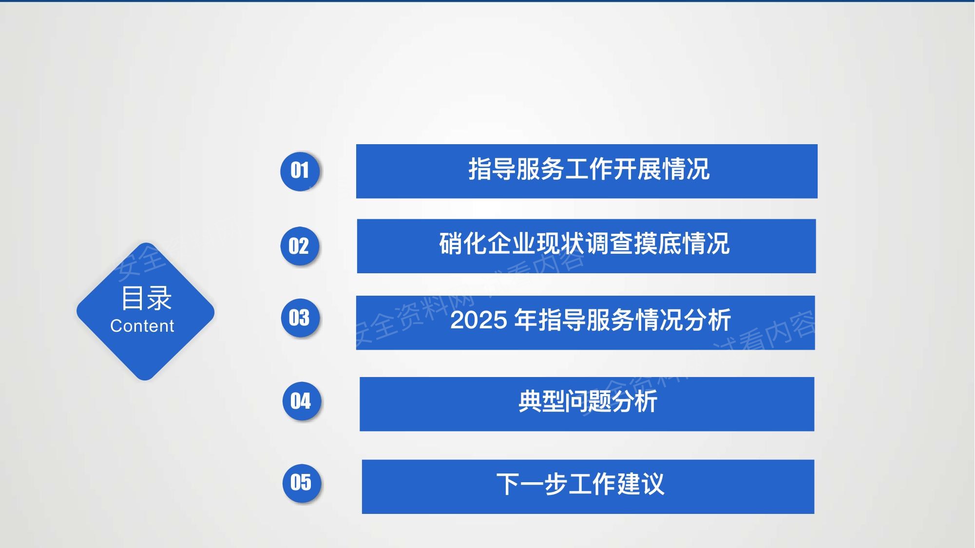 2025年硝化企业安全专家指导服务课件 第 2 页缩略图