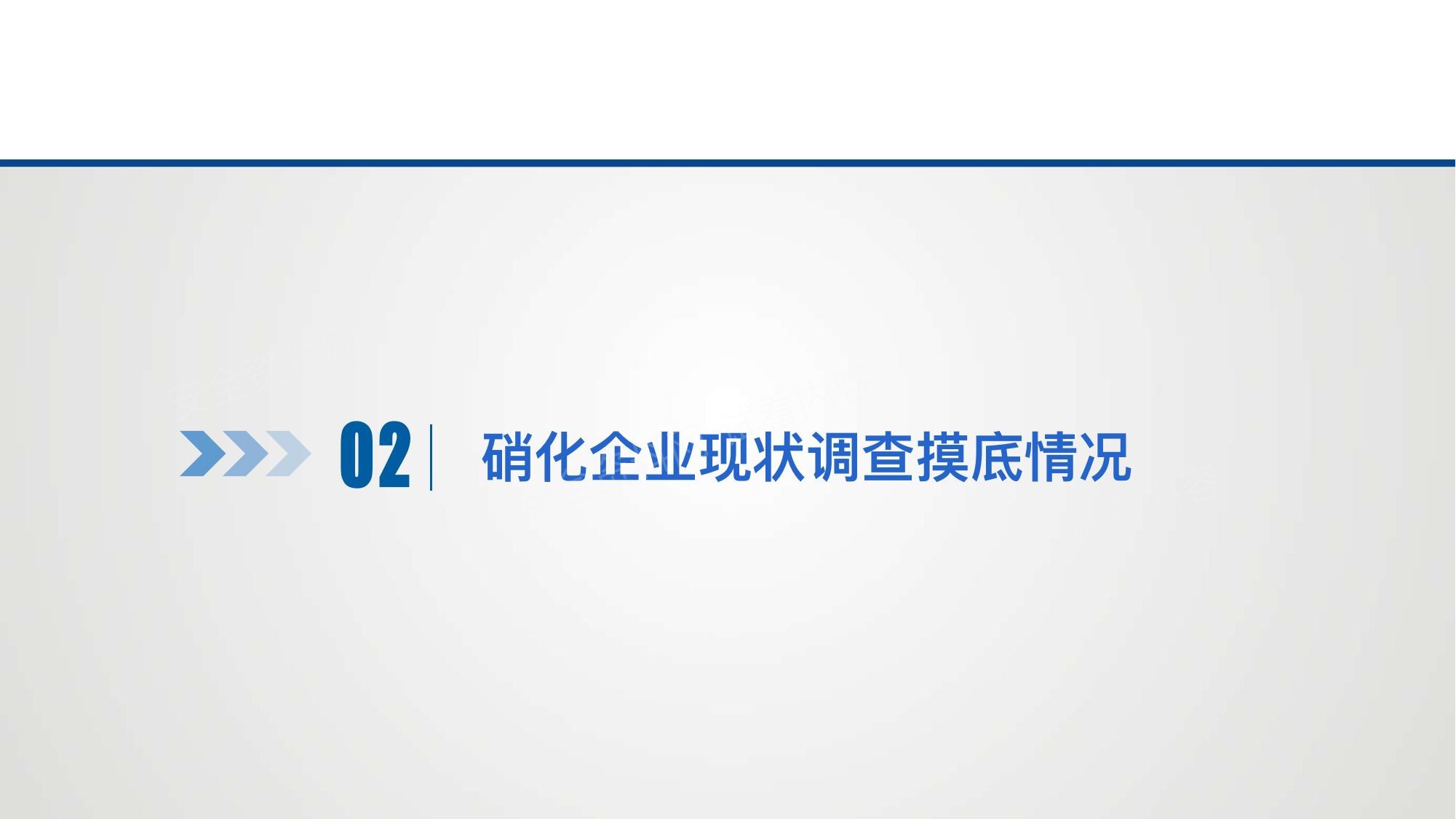 2025年硝化企业安全专家指导服务课件 第 6 页缩略图